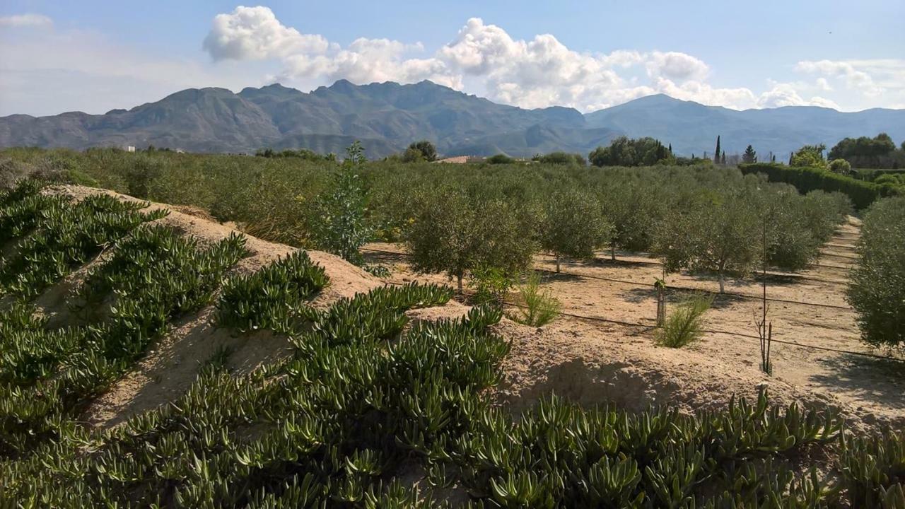 Casa Gregory Βίλα Turre Εξωτερικό φωτογραφία